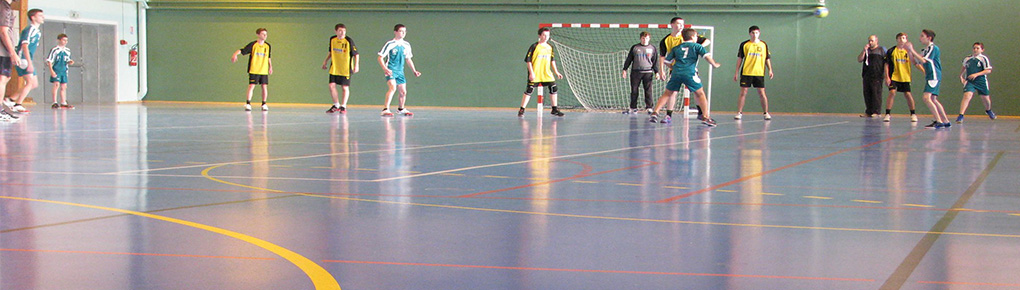 Stages de Hand pour les – 11 Mixtes et les -12 Masculins aux vacances de février !